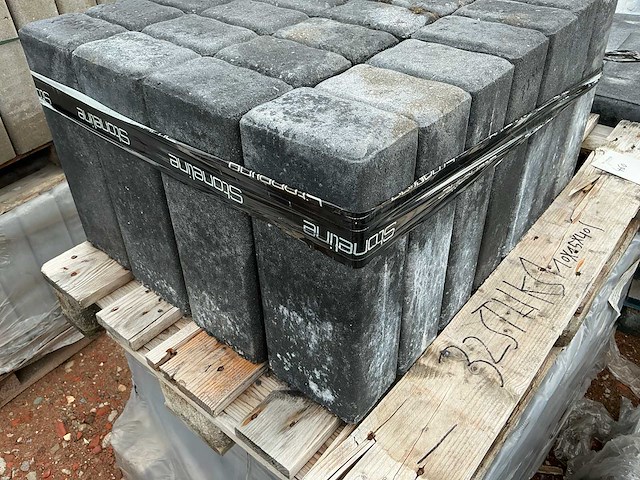 Palissade (77x) - afbeelding 3 van  4