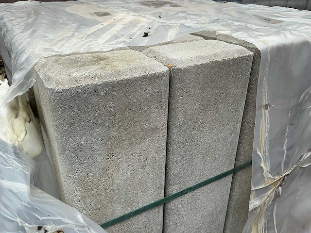 Palissade (90x) - afbeelding 3 van  5