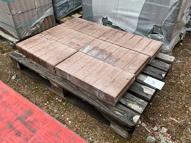 Palissadeband (6x) - afbeelding 2 van  3