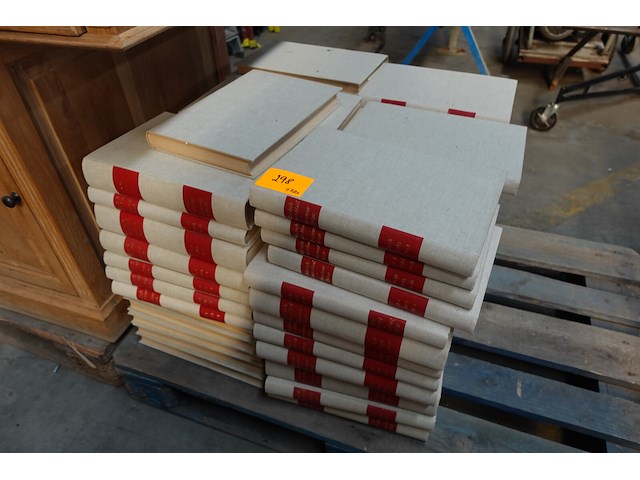 Pallet boeken - afbeelding 1 van  4