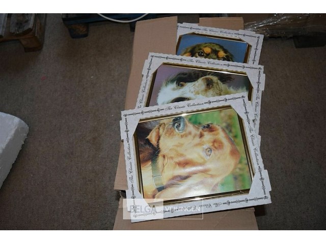 Pallet div fotokaders - afbeelding 2 van  2