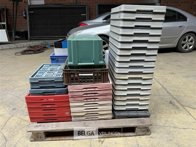 Pallet div plooibakken en bakken - afbeelding 2 van  3