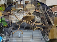 Pallet divers toebehoren dieren - afbeelding 2 van  6