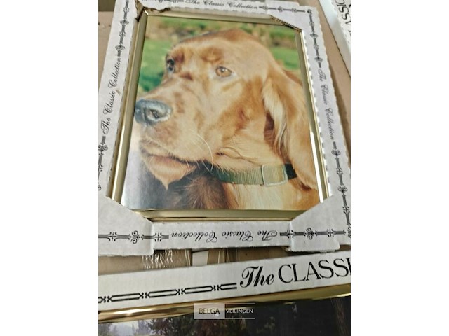 Pallet diverse goederen - afbeelding 4 van  19