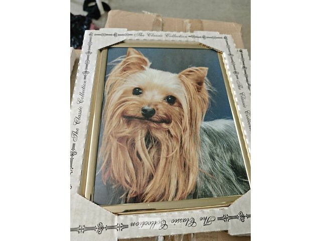 Pallet diverse goederen - afbeelding 9 van  19