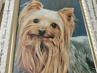 Pallet diverse goederen - afbeelding 9 van  19