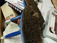 Pallet diverse goederen - afbeelding 10 van  14