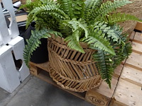 Pallet diversen - afbeelding 4 van  4