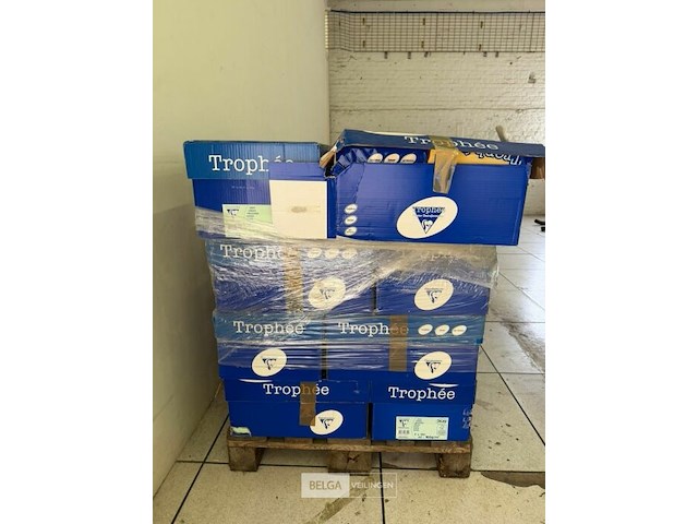 Pallet gekleurd papier - afbeelding 1 van  4