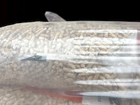 Pallet houtpellets - afbeelding 2 van  5