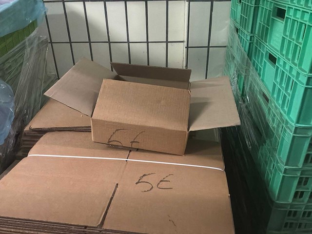 Pallet kartonnen dozen - afbeelding 1 van  2