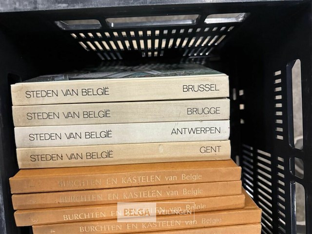 Pallet met boeken - enclopedieën - afbeelding 3 van  7