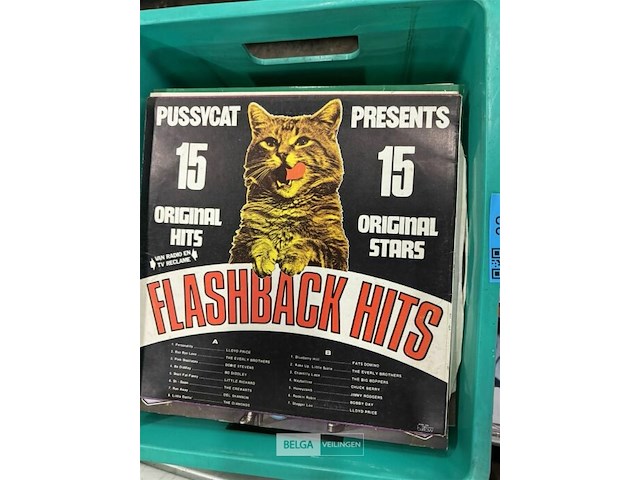 Pallet met lp's - singles - cd's - afbeelding 5 van  8