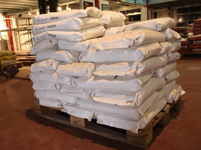 Pallet rewah calisan pleister - afbeelding 1 van  6