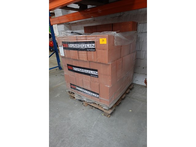 Pallet snelbouwstenen dumoulin - afbeelding 2 van  5