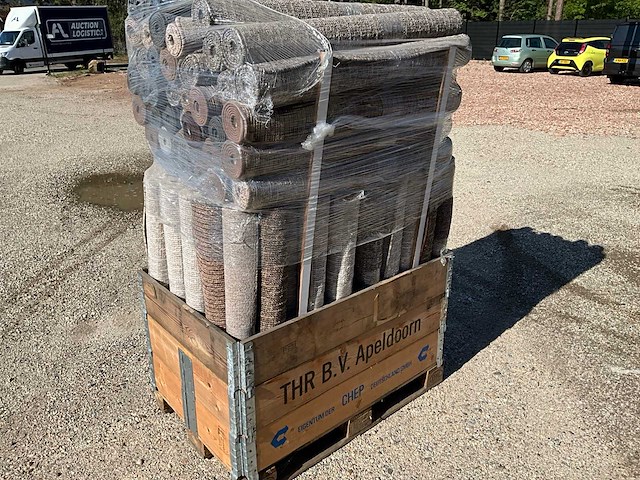 Palletdeal diverse kleuren vloerkleden 150 x 100 cm - afbeelding 1 van  12