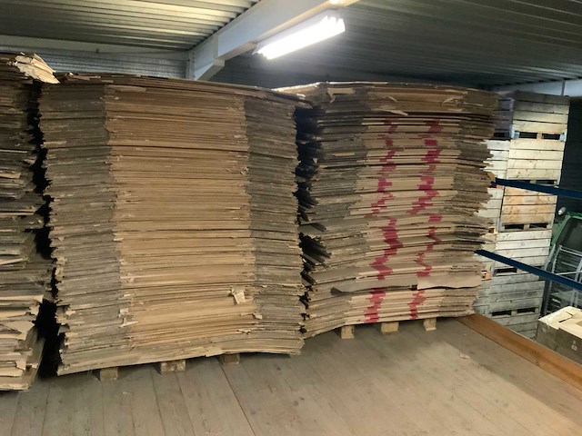 Palletten kartonnen dozen (2x) - afbeelding 1 van  2