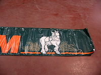 Palm banner - afbeelding 3 van  5