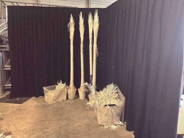 Palmbomen (4x) - afbeelding 1 van  5