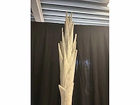 Palmbomen (4x) - afbeelding 5 van  5