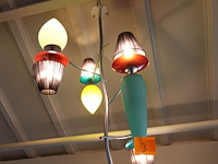 Palmboom - afbeelding 1 van  3