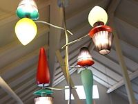 Palmboom - afbeelding 3 van  3