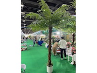 Palmboom - afbeelding 1 van  1