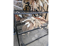 Pampas en droogbloem wolk 180cm (hangend) - afbeelding 2 van  3