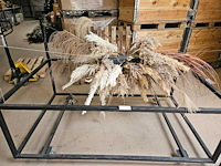 Pampas wolk 180cm inclusief transportkar - afbeelding 2 van  3