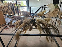 Pampas wolk 180cm inclusief transportkar - afbeelding 3 van  3