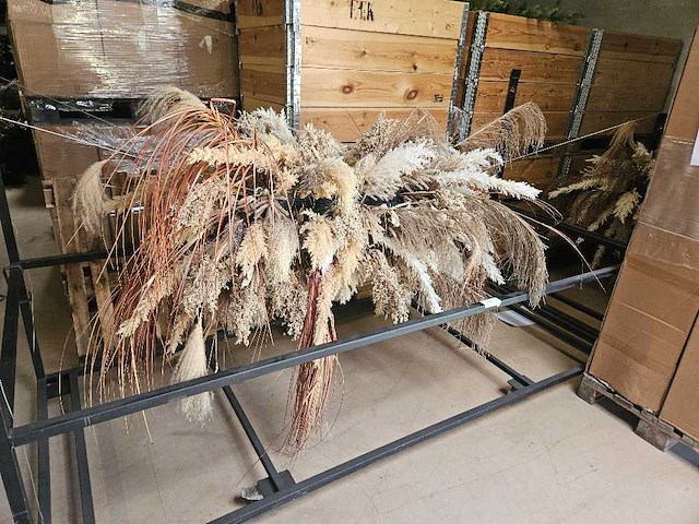 Pampas wolk 280cm inclusief transportkar - afbeelding 1 van  3