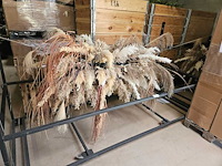 Pampas wolk 280cm inclusief transportkar - afbeelding 1 van  3