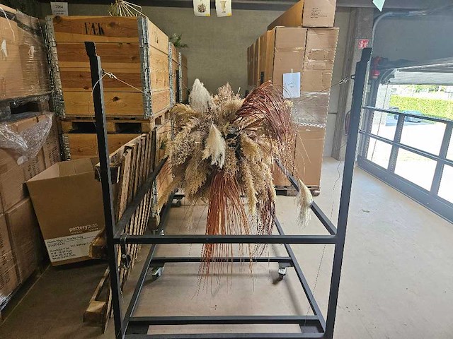 Pampas wolk 280cm inclusief transportkar - afbeelding 2 van  3