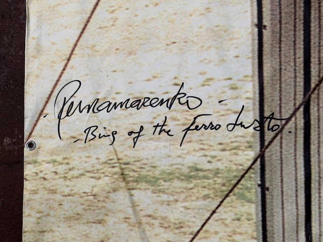 Panamarenko - bing of the ferro lusto - gesigneerd - 5mx4m - afbeelding 2 van  2