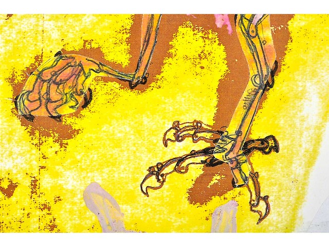 Panamarenko - de kip - zeefdruk - afbeelding 6 van  10