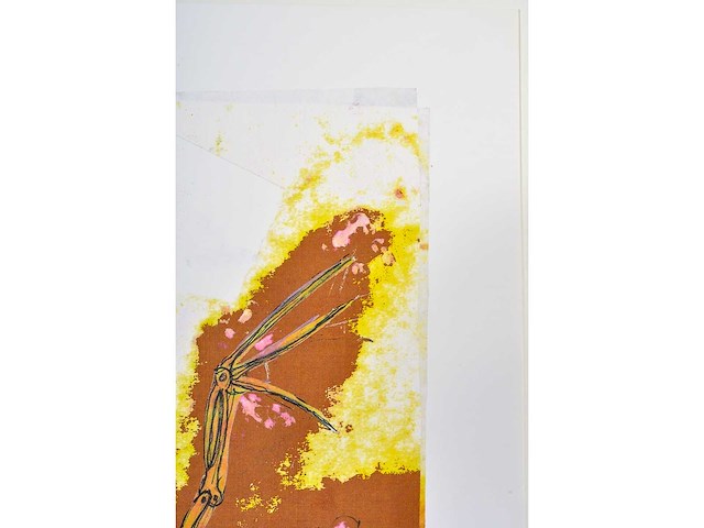 Panamarenko - de kip - zeefdruk - afbeelding 8 van  10