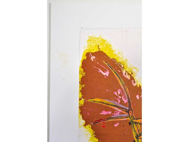 Panamarenko - de kip - zeefdruk - afbeelding 9 van  10