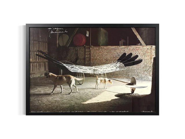 Panamarenko - de raaf - gesigneerd - afbeelding 1 van  1