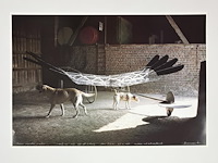 Panamarenko - de raaf - gesigneerd - afbeelding 1 van  1