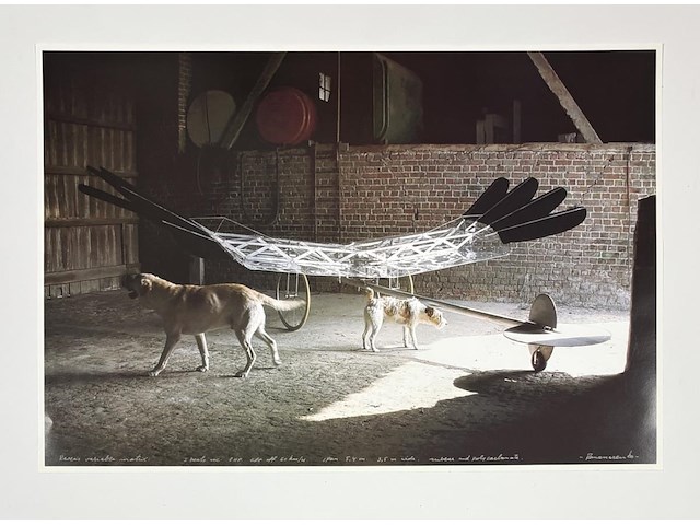 Panamarenko - de raaf - afbeelding 1 van  1