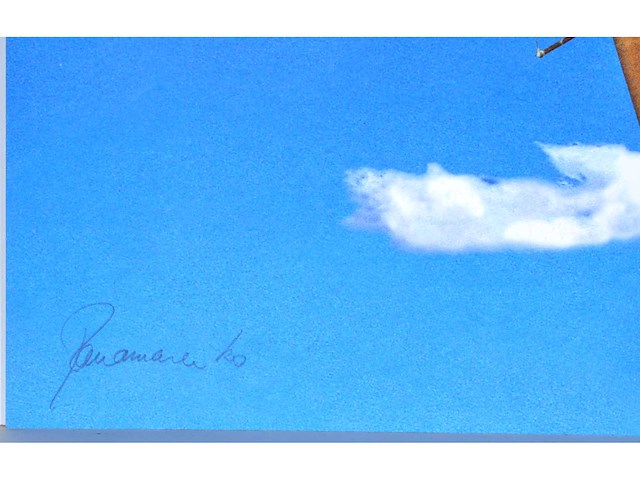 Panamarenko - flying tiger - kleurendruk met diepdruk - afbeelding 3 van  8