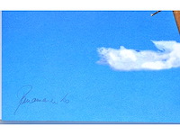 Panamarenko - flying tiger - kleurendruk met diepdruk - afbeelding 3 van  8