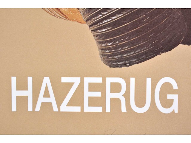 Panamarenko - hazerug - kleurendruk met diepdruk - afbeelding 4 van  9