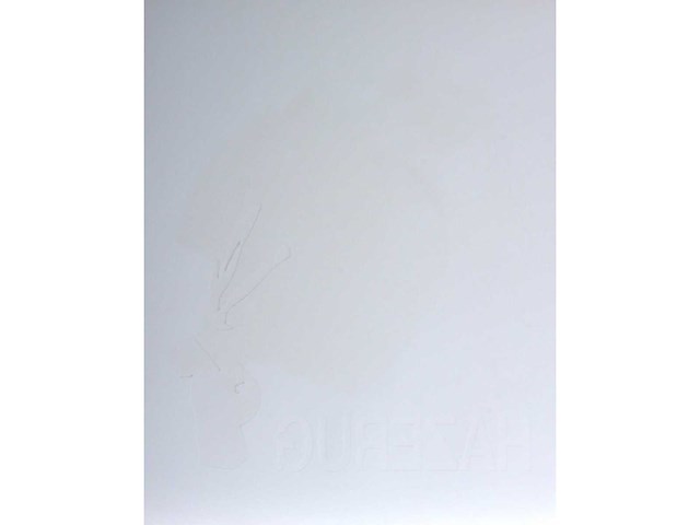 Panamarenko - hazerug - kleurendruk met diepdruk - afbeelding 7 van  9