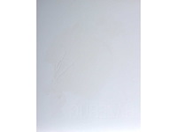 Panamarenko - hazerug - kleurendruk met diepdruk - afbeelding 7 van  9