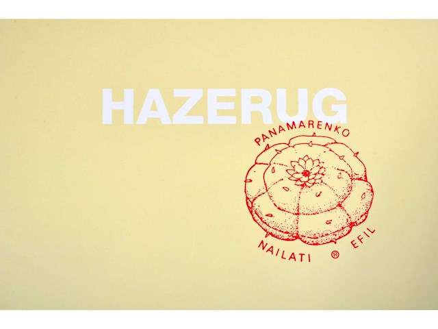 Panamarenko - hazerug - kleurendruk met diepdruk - afbeelding 9 van  9