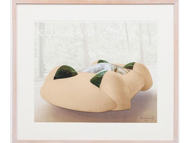 Panamarenko - k3 jungle flyer - genummerd - afbeelding 1 van  2