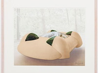 Panamarenko - k3 jungle flyer - genummerd - afbeelding 1 van  2