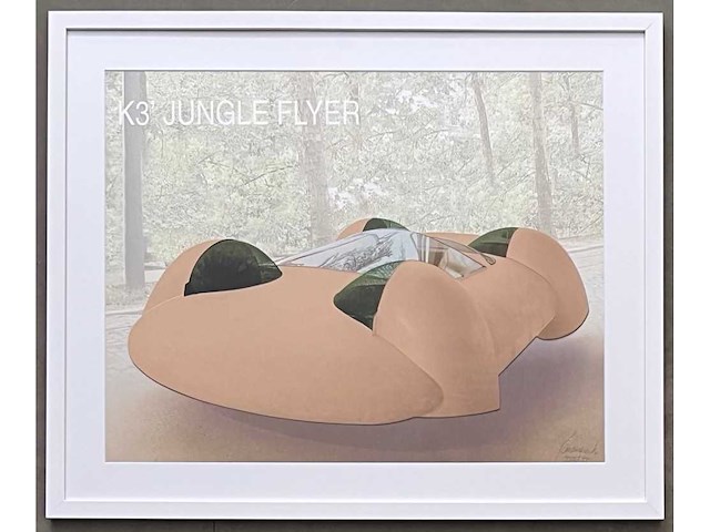 Panamarenko - k3 jungle flyer - kleurendruk met diepdruk - professioneel ingelijst - afbeelding 1 van  9