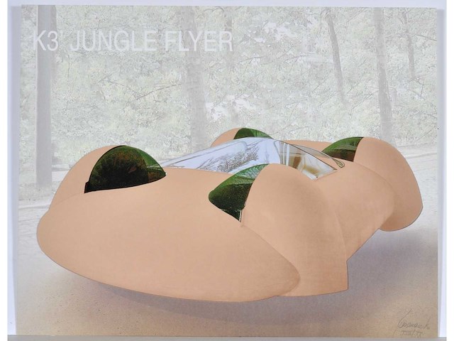 Panamarenko - k3 jungle flyer - kleurendruk met diepdruk - professioneel ingelijst - afbeelding 3 van  9